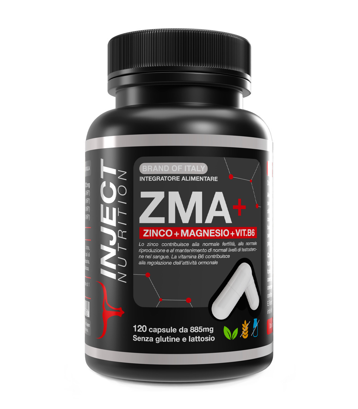 ZMA+ Zinco, Magnesio, Vit.B5 e B6 (120cps)
